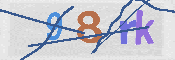 Immagine CAPTCHA