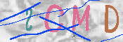 Immagine CAPTCHA