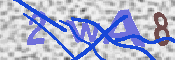 Immagine CAPTCHA